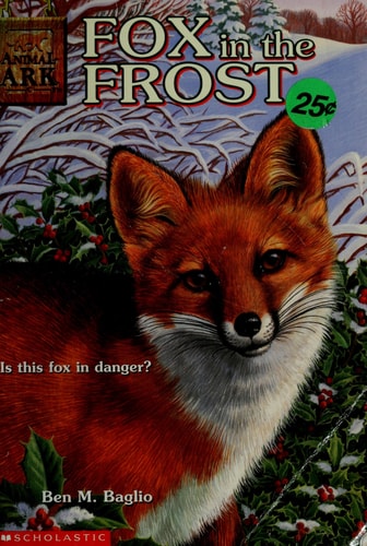 Fox in the Frost