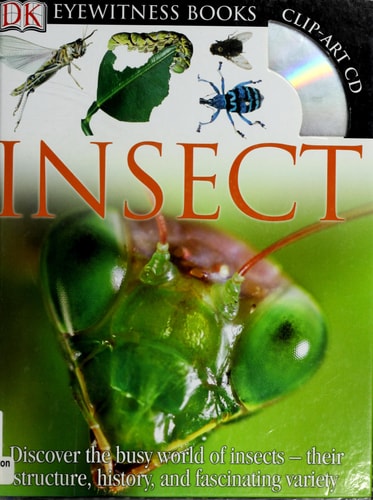 Insect