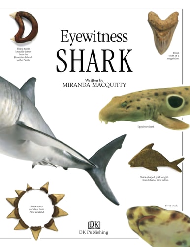 Shark