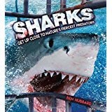 Sharks Get Up Close to Nature's Fiercest Predators