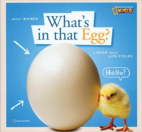 What's in that Egg? A Book about Life Cycles