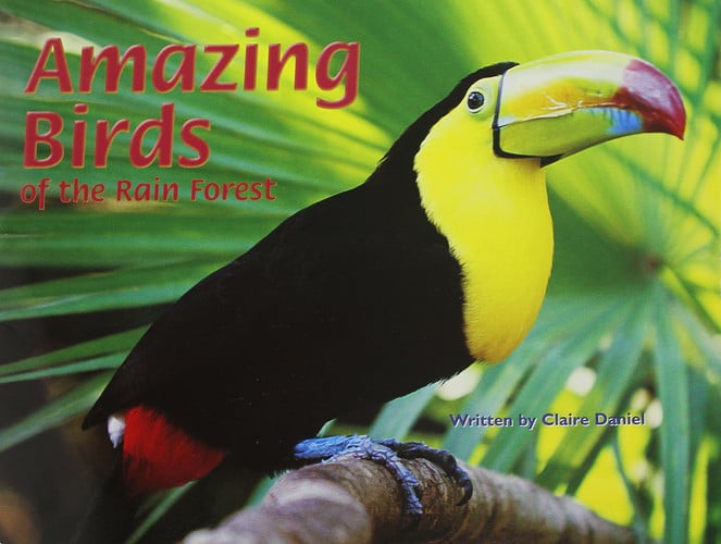 Amazing Birds of the Rain Forest (Pair-It Books)