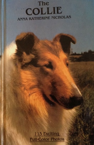 Collie