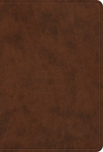 ESV Value Large Print Compact Bible (TruTone, Brown)