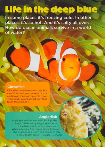 Ocean Animals (Animal Planet Animal Bites)