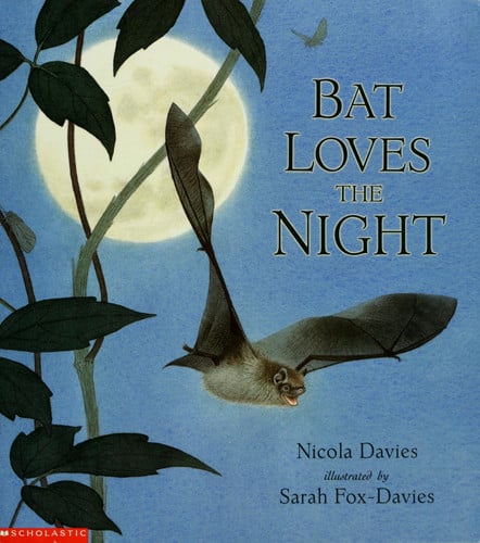Bat Loves the Night
