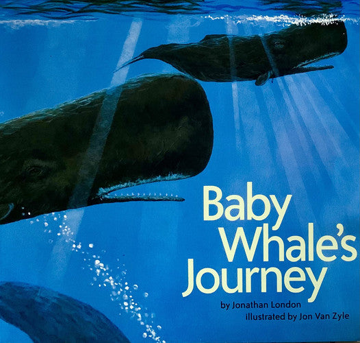 Baby Whale's Journey