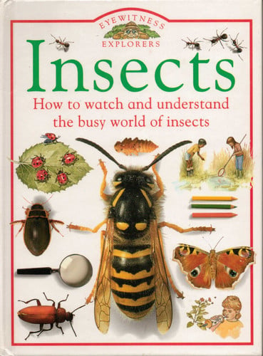 Insects (Eyewitness Explorers)