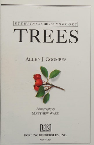 Trees (Eyewitness Handbooks)