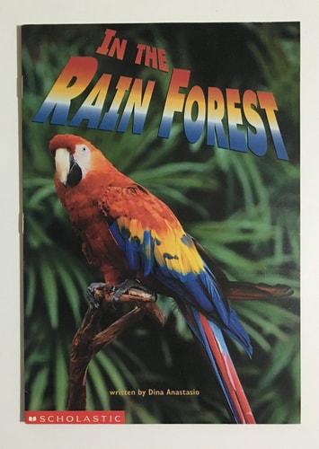 In the Rain Forest