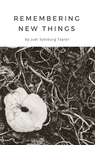Remembering New Things