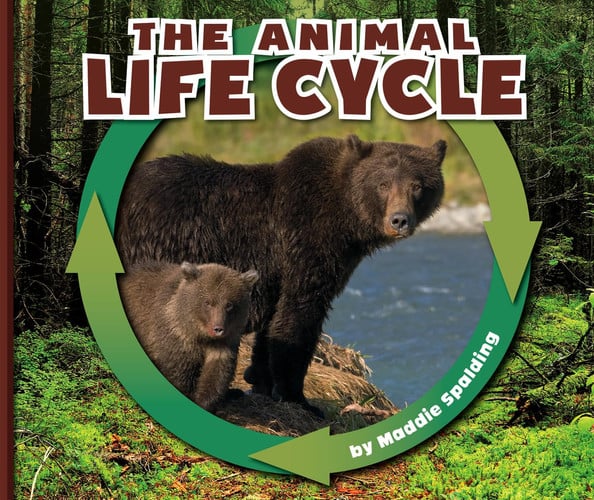 The Animal Life Cycle (Nature Cycles)