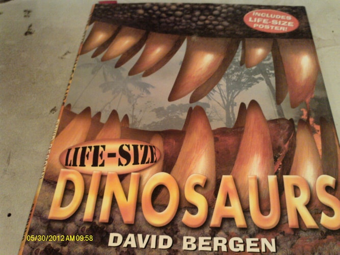 Life-size Dinosaurs
