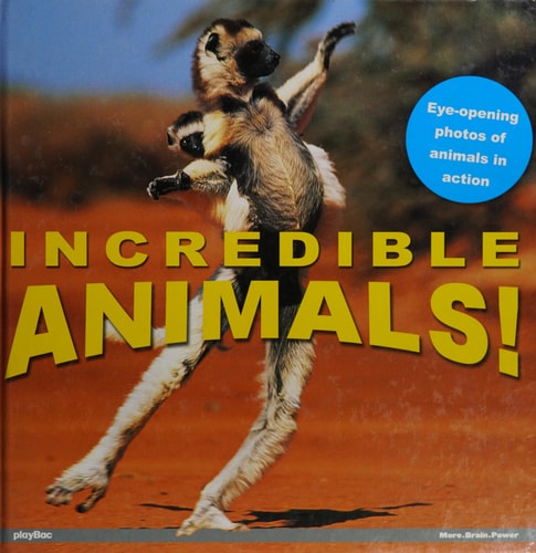 Animals! Eye Opening Photos of Animals in Action