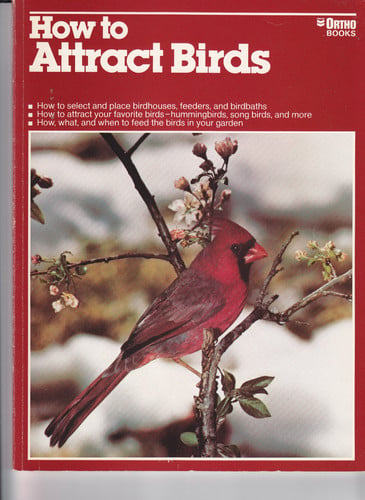 How to Attract Birds