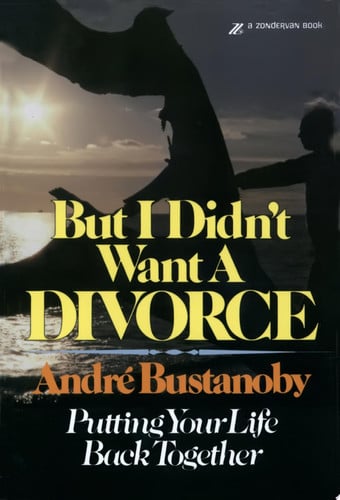 But I Didn't Want a Divorce