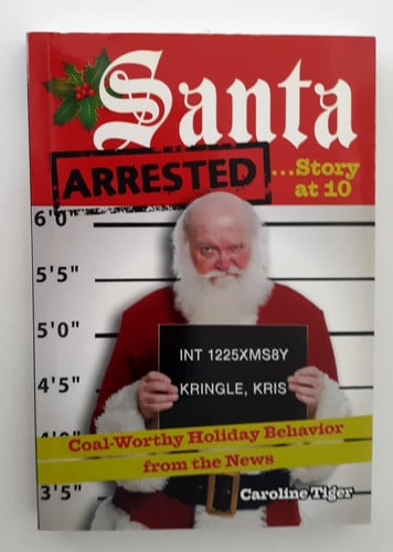 Santa Arrested...Story at 10: Coal-Worthy Holiday Behavior from the News