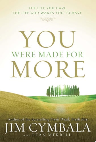 You Were Made for More: The Life You Have, the Life God Wants You to Have