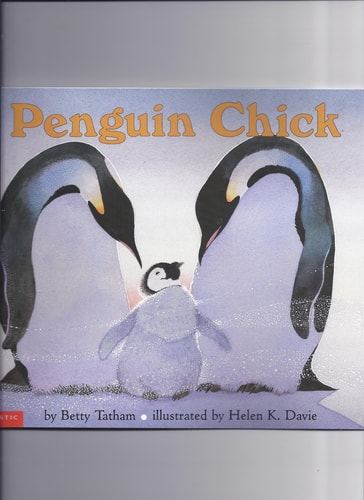 Penguin Chick