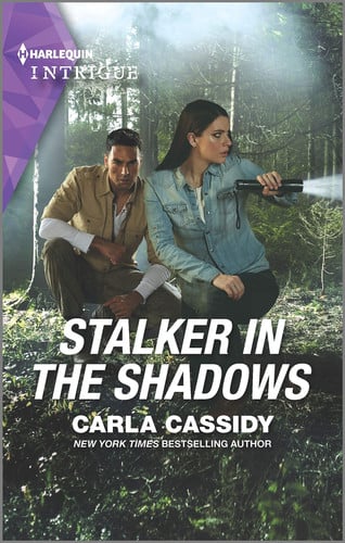 Stalker in the Shadows (Harlequin Intrigue, 1988)