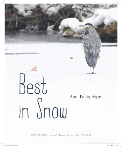 Best in Snow