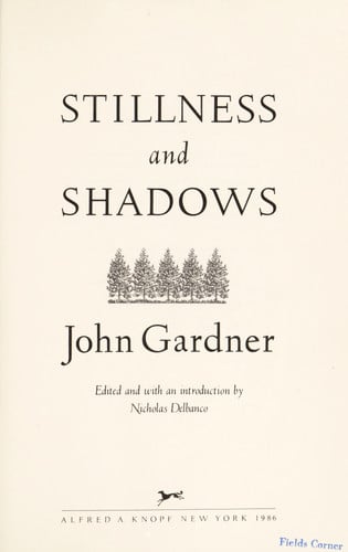 Stillness and Shadows