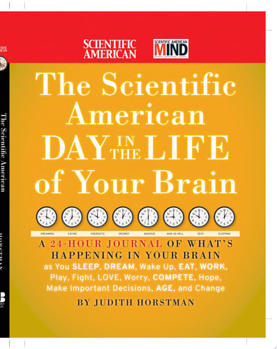 The Scientific American Day in the Life of Your Brain