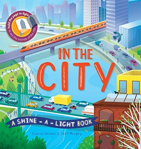 In the City Shine-A-Light