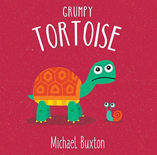 Grumpy Tortoise