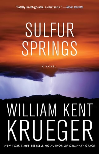 Sulfur Springs A Novel