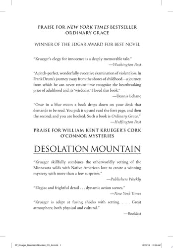 Desolation Mountain A Novel