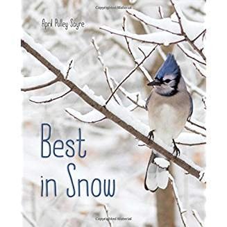 Best in Snow