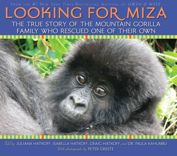 Looking for Miza The True Story of the Mountain Gorilla Family who Rescued One of Their Own