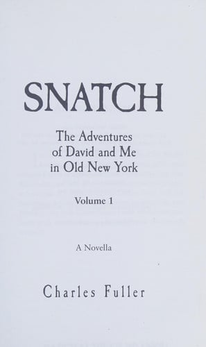 Snatch: The Adventures of David and Me in Old New York