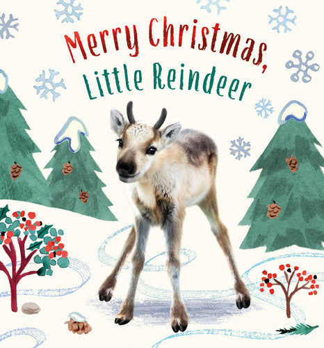 Merry Christmas, Little Reindeer A Board Book