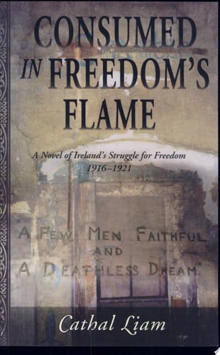 Consumed in Freedom's Flame: A Novel of Ireland's Struggle for Freedom 1916-1921