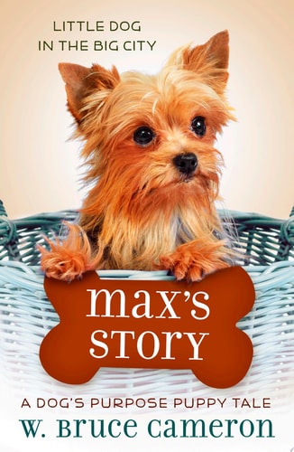 Max's Story A Puppy Tale