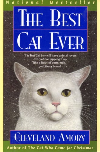 The Best Cat Ever