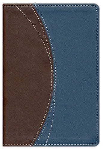 NIV Thinline Bible Compact, Chocolate/Grey, Italian Duo-Tone