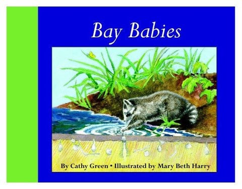 Bay Babies
