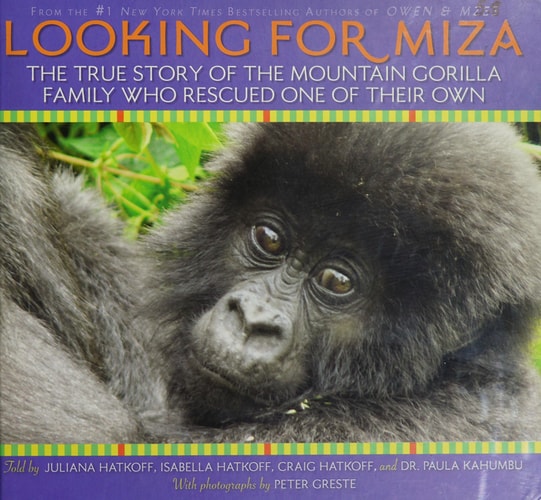Looking for Miza The True Story of the Mountain Gorilla Family who Rescued One of Their Own