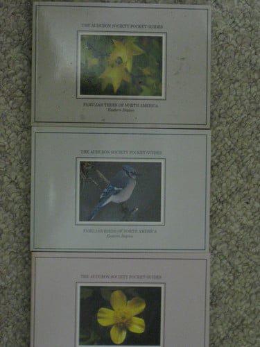 The Audubon Society Pocket Guides: Eastern Region/Slip Case