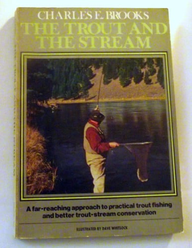 Trout and the Stream