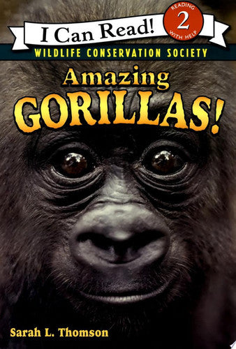 Amazing Gorillas!