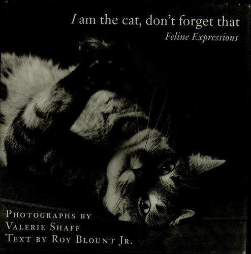I Am the Cat, Don't Forget That: Feline Expressions
