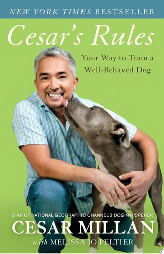 Cesar's Rules Your Way to Train a Well-Behaved Dog