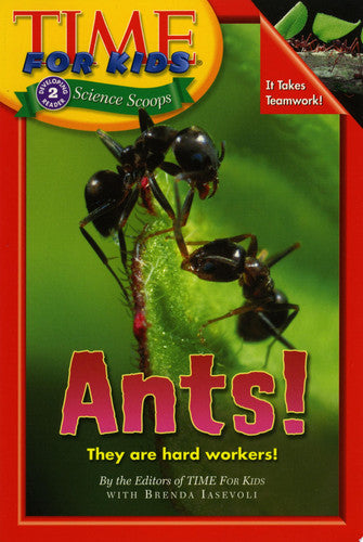 Time For Kids: Ants!