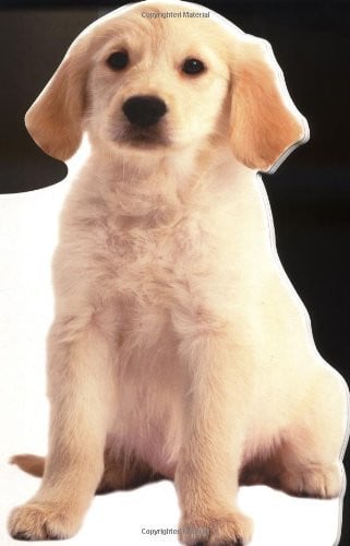Jumbo Animal Shaped Board Book: Puppy