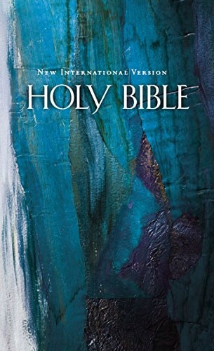 NIV Economy Bible