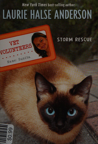 Storm Rescue